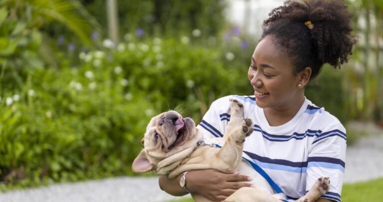 Best High Fiber Dog Food 2025: Top Picks for Healthier Digestion