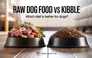 Raw Dog Food vs Kibble: Which Diet is Better for Dogs?