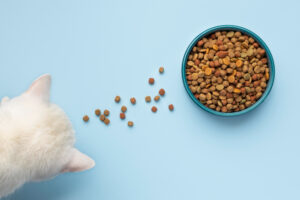 Best Grain-Free Cat Foods in 2025: Expert Picks
