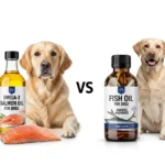 Salmon Oil vs Fish Oil for Dogs: Which is Better? (2025 Guide)