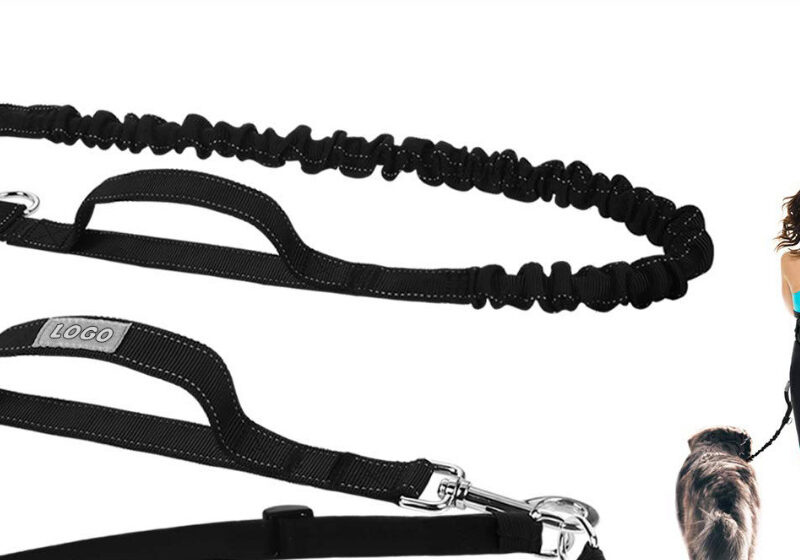 Hands-Free Dog Training Leash with Waist Bag – Running, Walking & Storage - Image 8