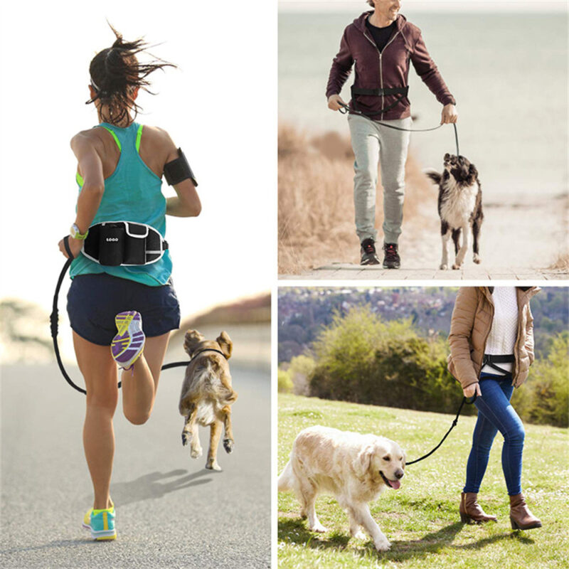 Hands-Free Dog Training Leash with Waist Bag – Running, Walking & Storage