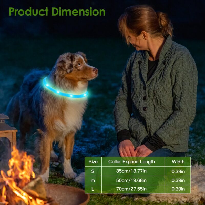 USB Rechargeable LED Dog Collar – Multi-Color Glow, Adjustable & Waterproof