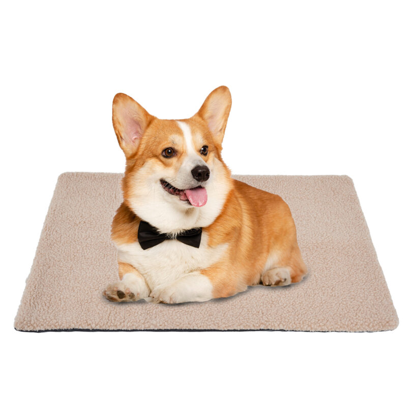 Self-Heating Cat & Dog Blanket - Image 5