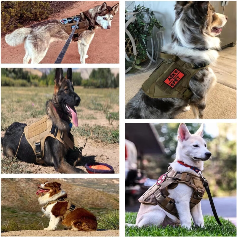 Luxury Camouflage Dog Harness with Nylon Leash Set - Adjustable & Durable - Image 5