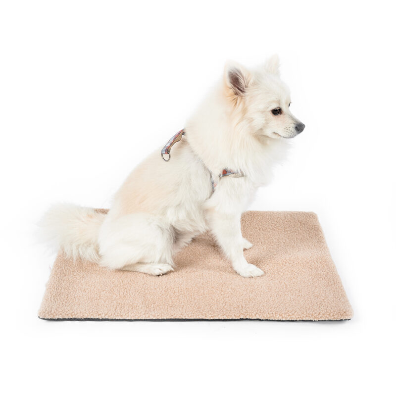 Self-Heating Cat & Dog Blanket - Image 4