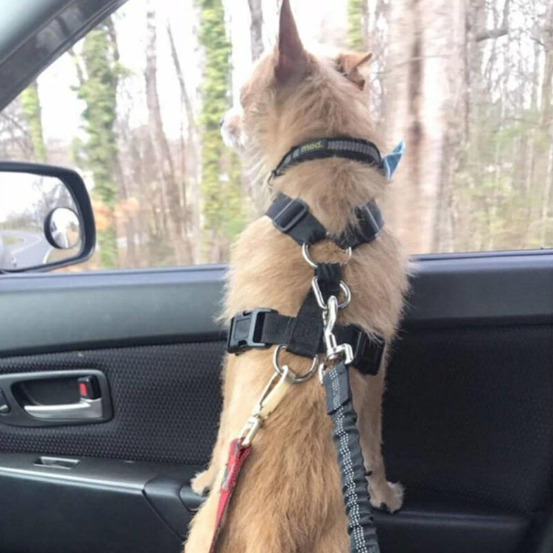Adjustable Reflective Dog Car Seatbelt Harness - Image 4