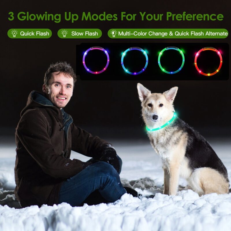 USB Rechargeable LED Dog Collar – Multi-Color Glow, Adjustable & Waterproof - Image 2