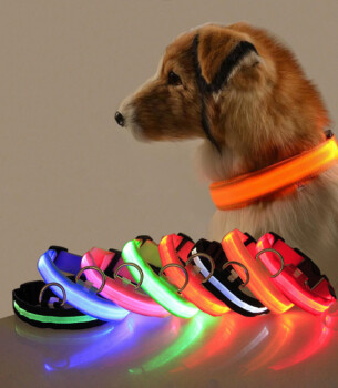 LED Safety Dog Collar for Night Walks