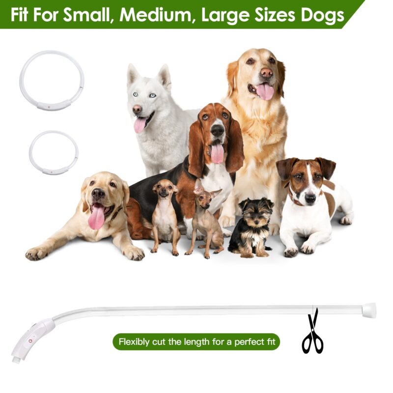 USB Rechargeable LED Dog Collar – Multi-Color Glow, Adjustable & Waterproof - Image 3