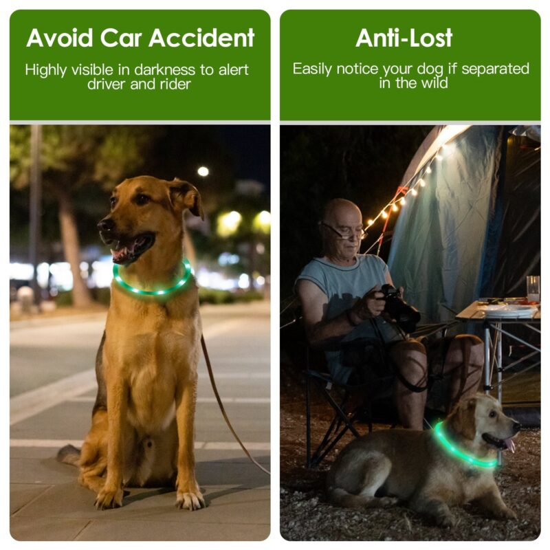USB Rechargeable LED Dog Collar – Multi-Color Glow, Adjustable & Waterproof - Image 6
