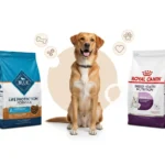 Blue Buffalo vs. Royal Canin: A Vet-Informed Comparison