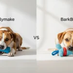 Bullymake vs BarkBox: Which Toy Box Fits Your Dog’s Chewing Style?