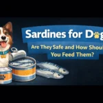 Sardines for Dogs: Are They Safe and How Should You Feed Them?